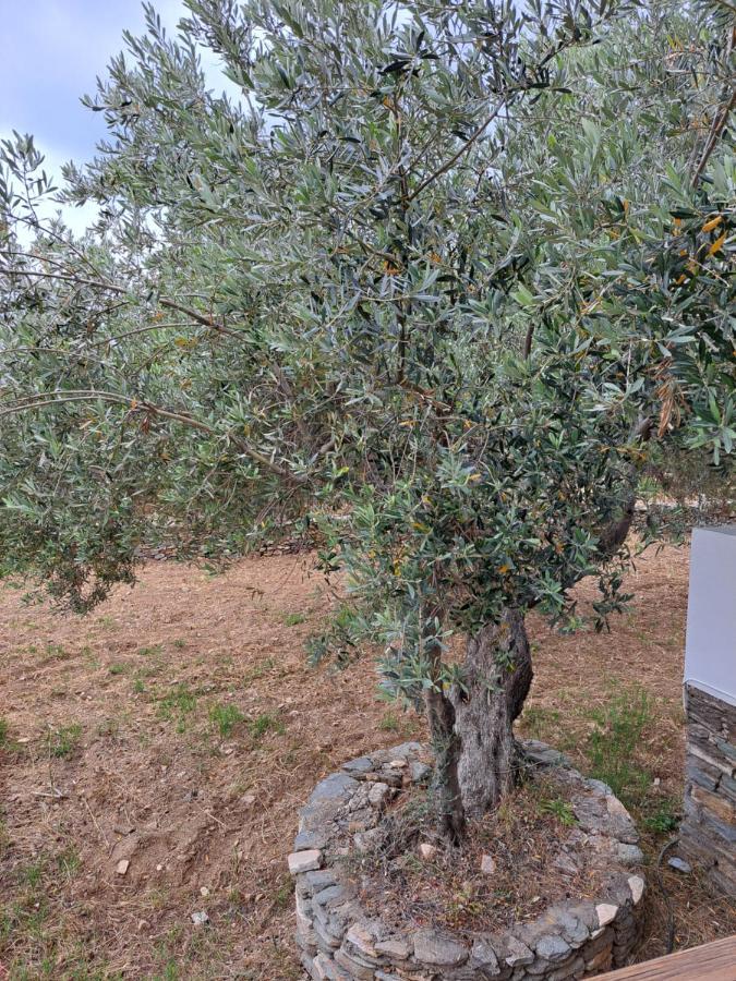 Madilides Apartment Platis Gialos  ภายนอก รูปภาพ
